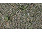 13 Foxbridge Lane, Conifer Grove, Takanini - Carousel 1