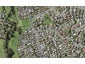 60A Lewisham Street, Highland Park, Auckland - Carousel 1