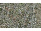 11B Rene Place, Sunnyhills, Auckland - Carousel 1