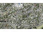 92A Matipo Road, Mairangi Bay, Auckland - Carousel 1