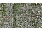 59 Routley Drive, Glen Eden, Auckland - Carousel 1