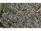 20D Saxon Street, Waterview, Auckland - Carousel 1