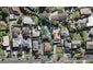 2/9 Peach Road, Glenfield, Auckland - Carousel 1