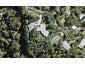 1 Opou Road, Titirangi, Auckland - Carousel 1