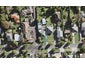 16B Cradock Street, Avondale, Auckland - Carousel 1