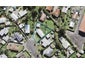 9 Denyer Place, New Lynn, Auckland - Carousel 1