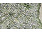 974 Whangaparaoa Road, Manly, Whangaparaoa - Carousel 1