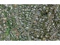 12 Seaview Road, Remuera, Auckland - Carousel 1