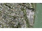 36 Covil Avenue, Te Atatu South, Auckland - Carousel 1