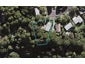37 Ridgewood Crescent, Birkenhead, Auckland - Carousel 1