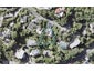 25A Ferry Road, Days Bay, Lower Hutt - Carousel 1