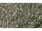 62 Anzac Road, Morningside, Whangarei - Carousel 1