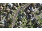 17A Kallu Crescent, Mount Roskill, Auckland - Carousel 1