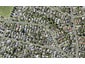 44 Drake Street, Howick, Auckland - Carousel 1