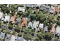 17 King Edward Street, Mount Eden, Auckland - Carousel 1