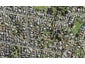 55A Methuen Road, New Windsor, Auckland - Carousel 1