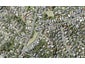 84 Knights Road, Rothesay Bay, Auckland - Carousel 1