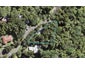 41A Tane Road, Laingholm, Auckland - Carousel 1