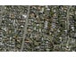 8A Combes Road, Remuera, Auckland - Carousel 1