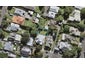 3A Conway Road, Mount Eden, Auckland - Carousel 1