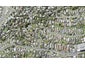 10 Braemar Road, Rothesay Bay, Auckland - Carousel 1