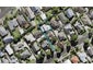 21A Alberta Street, Point Chevalier, Auckland - Carousel 1