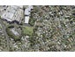 29A Downing Street, Glenfield, Auckland - Carousel 1