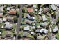 45 Maple Street, Avondale, Auckland - Carousel 1