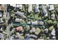 2/7 Deverell Place, Northcross, Auckland - Carousel 1