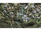 24 Wicklam Lane, Greenhithe, Auckland - Carousel 1