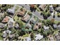1/10 Royal Viking Way, Lynfield, Auckland - Carousel 1