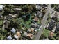 48 Lingarth Street, Remuera, Auckland - Carousel 1