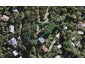 41 Okoka Road, Omiha, Waiheke Island - Carousel 1