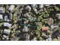 36 Trevola Street, New Windsor, Auckland - Carousel 1