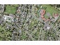 6 Epping Street, Glen Innes, Auckland - Carousel 1