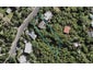 16 Church Bay Road, Oneroa, Waiheke Island - Carousel 1
