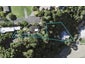 65 Pohutukawa Avenue, Shelly Park, Auckland - Carousel 1