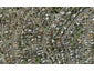 63 Becroft Drive, Forrest Hill, Auckland - Carousel 1