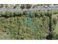 660E Swanson Road, Swanson, Auckland - Carousel 1