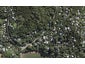 23 Glen Brook Road, Omiha, Waiheke Island - Carousel 1