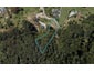 20 Hakawai Lane, Tikipunga, Whangārei - Carousel 1