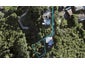 2B Waikowhai Road, Hillsborough, Auckland - Carousel 1