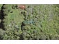 34 Yozin Road, Swanson, Auckland - Carousel 1