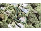 30 Jackson Crescent, Mahurangi East, Warkworth - Carousel 1