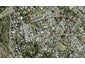 2/17 Denver Avenue, Sunnyvale, Auckland - Carousel 1
