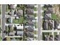 19 Captain Mitchell Drive, Opaheke, Papakura - Carousel 1