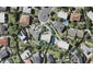 23 Kiri Place, Mairangi Bay, Auckland - Carousel 1