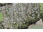 15E Cleve Road, Green Bay, Auckland - Carousel 1