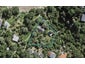 2 Te Aroha Avenue, Oneroa, Waiheke Island - Carousel 1