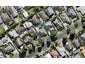 19 Alberta Street, Point Chevalier, Auckland - Carousel 1